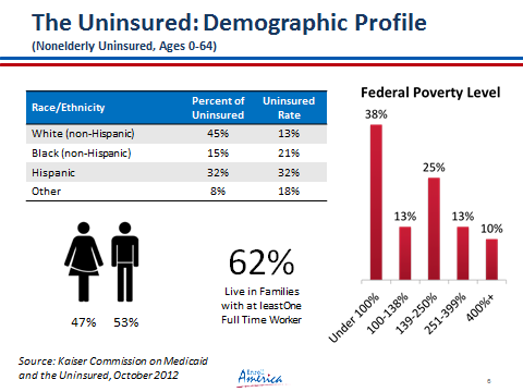 uninsured demographic profile.png